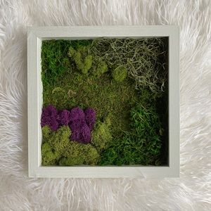Moss Wall Art (made to order)